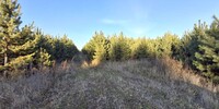2 300 000 р. Ключи - Агентство недвижимости Сысертская Усадьба, Сысерть