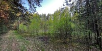 999 000 р. Кашино - Агентство недвижимости Сысертская Усадьба, Сысерть