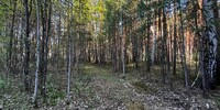 999 000 р. Кашино - Агентство недвижимости Сысертская Усадьба, Сысерть