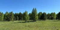 3 900 000 р. Багаряк - Агентство недвижимости Сысертская Усадьба, Сысерть