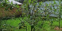 7 800 000 р. Сысерть - Агентство недвижимости Сысертская Усадьба, Сысерть