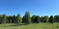 3 900 000 р. Багаряк - Агентство недвижимости Сысертская Усадьба, Сысерть
