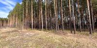 8 000 000 р. Сысерть - Агентство недвижимости Сысертская Усадьба, Сысерть