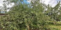4 600 000 р. Сысерть - Агентство недвижимости Сысертская Усадьба, Сысерть