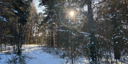 900 000 р. Ключи - Агентство недвижимости Сысертская Усадьба, Сысерть