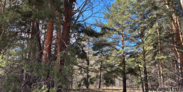 900 000 р. Ключи - Агентство недвижимости Сысертская Усадьба, Сысерть