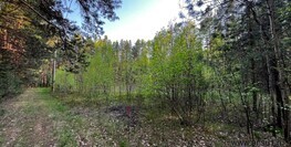 999 000 р. Кашино - Агентство недвижимости Сысертская Усадьба, Сысерть