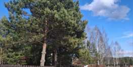 5 500 000 р. Сысерть - Агентство недвижимости Сысертская Усадьба, Сысерть